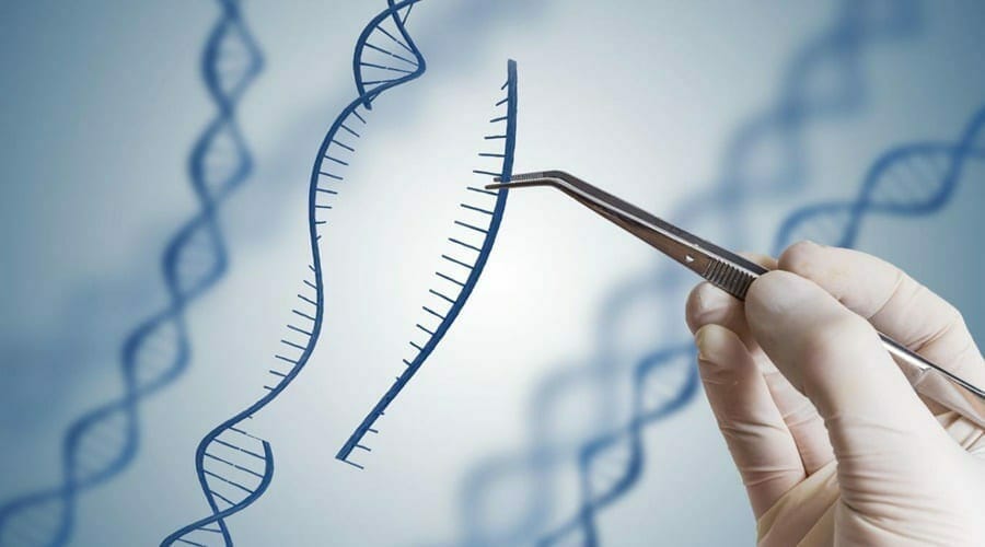 Cấu trúc ADN