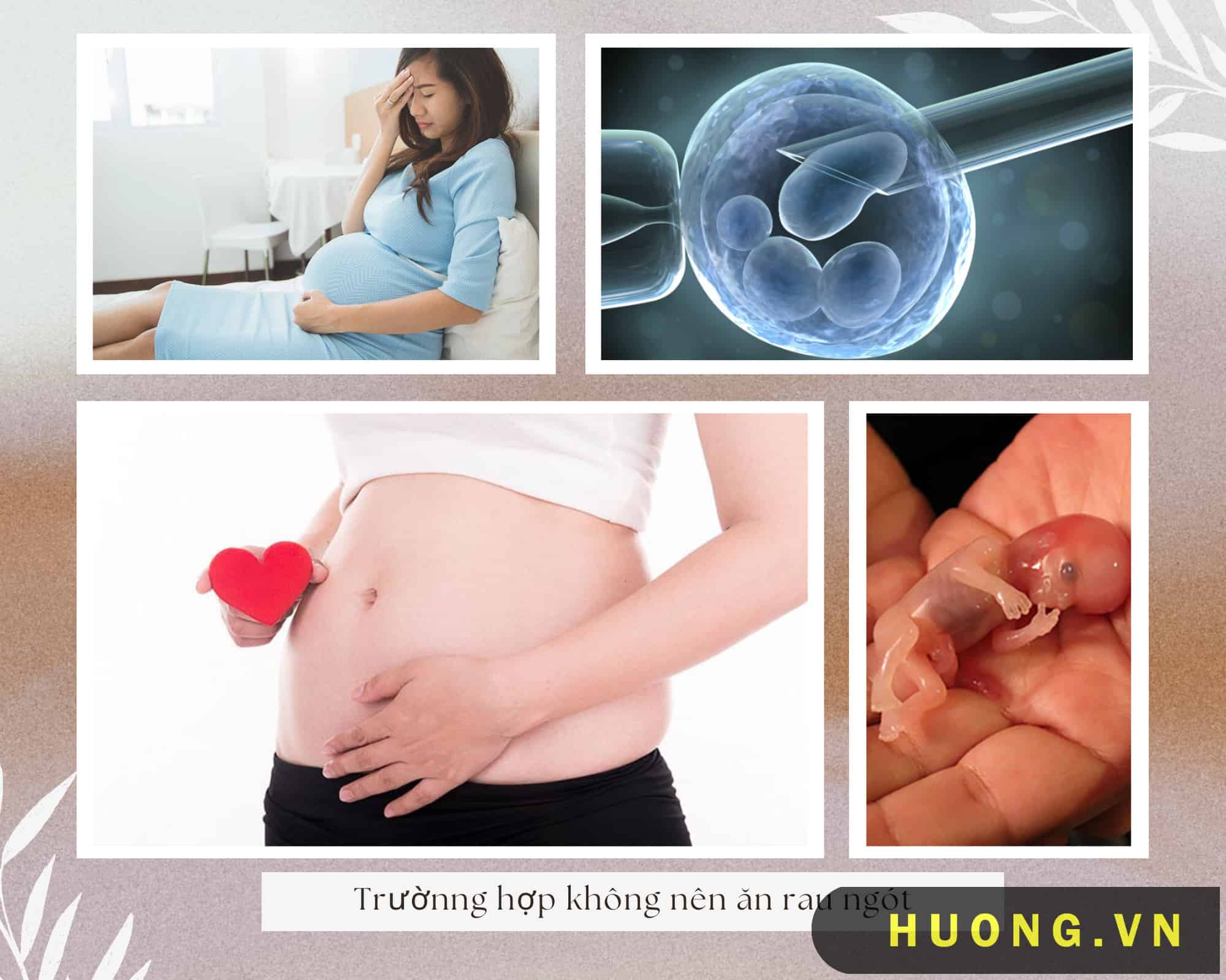 Bà bầu có được ăn rau ngót không? 