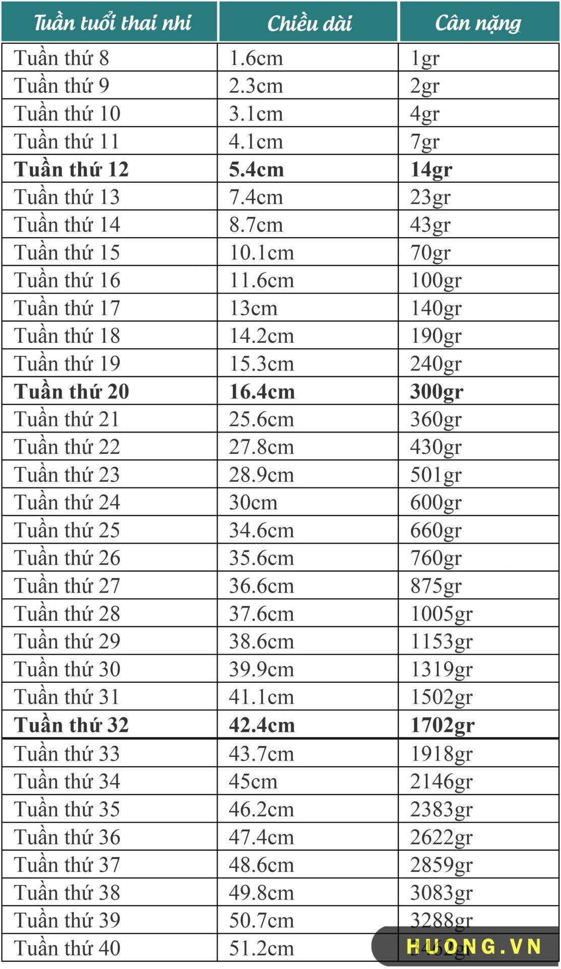 cân nặng chuẩn của thai nhi