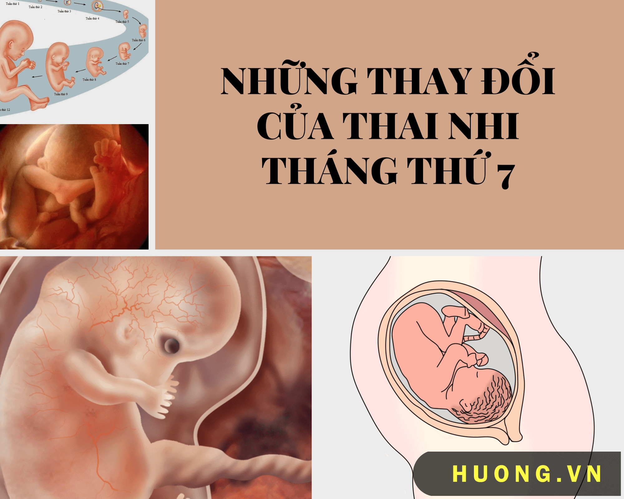 Thai nhi tháng thứ 7 thay đổi như thế nào? 