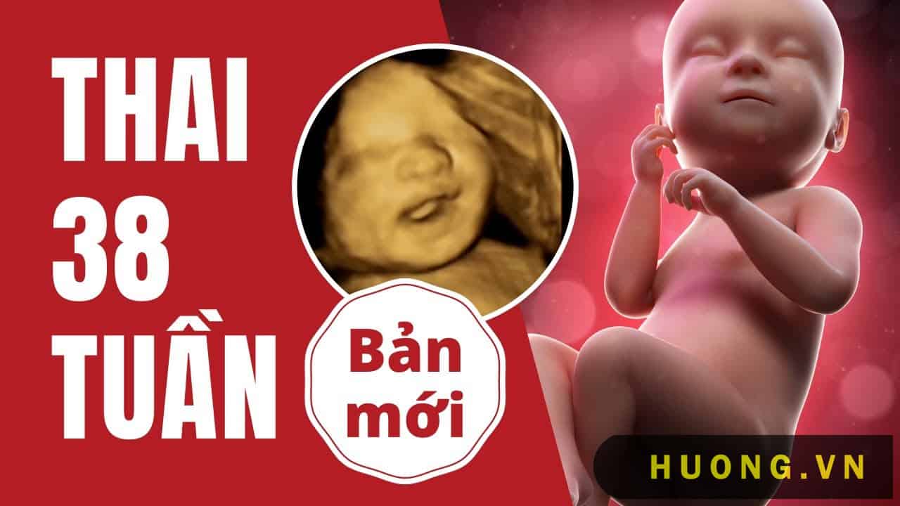 Hình ảnh thai nhi tuần 38 