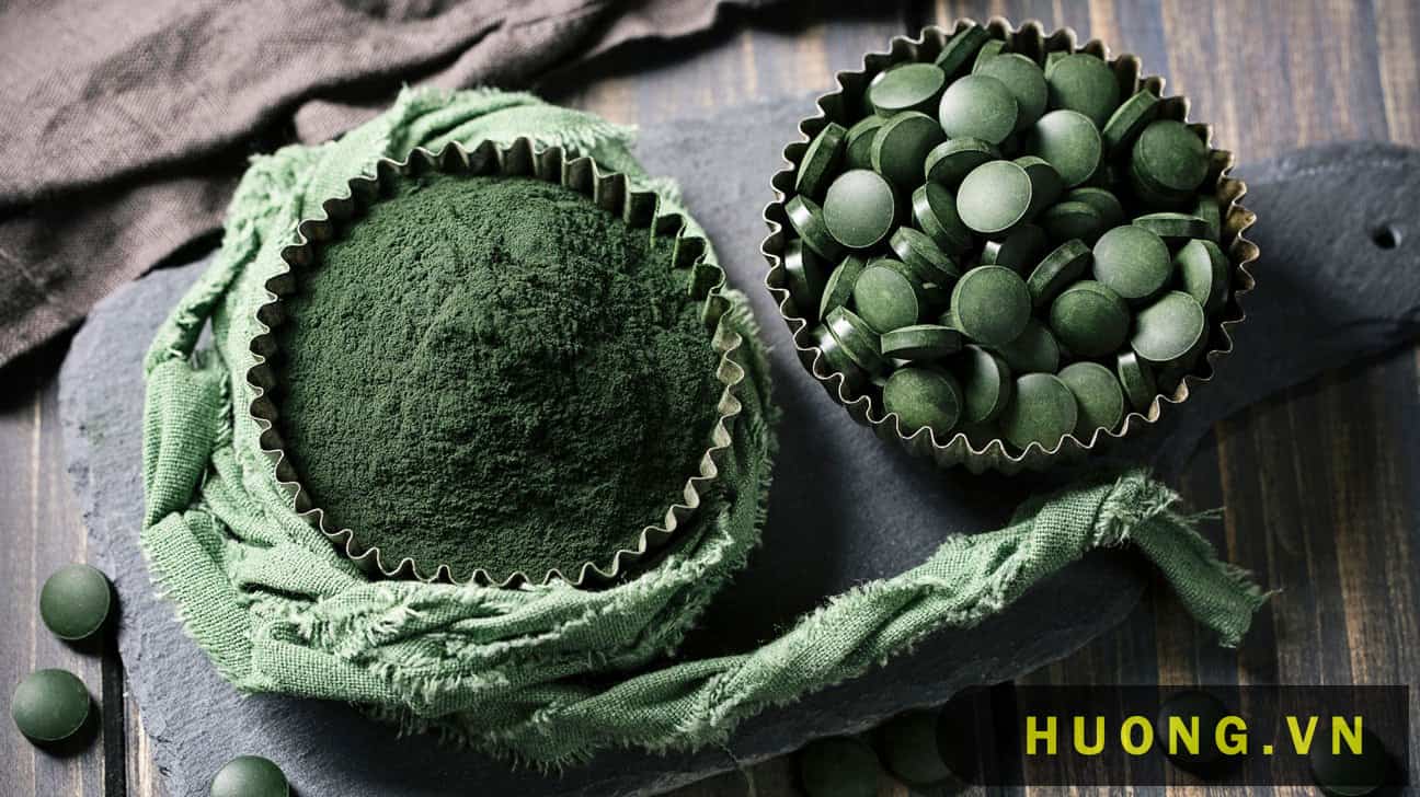 Tảo lục Chlorella