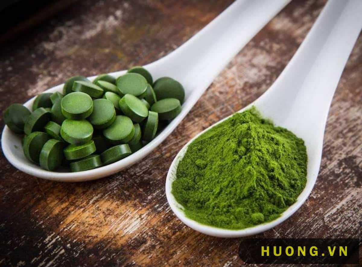 Tảo Lục Chlorella 