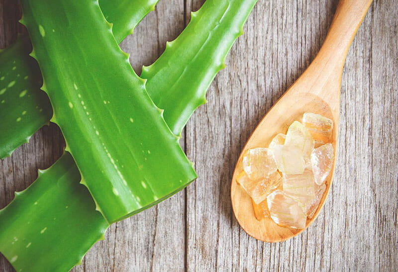 5 Cách làm mặt nạ nha đam dưỡng da đơn giản tại nhà