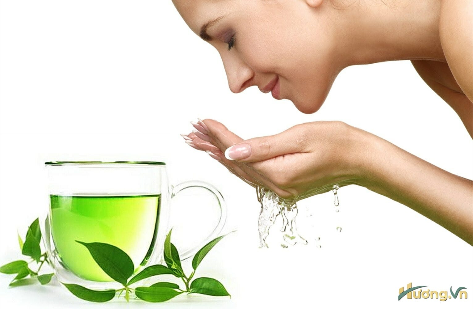 Trong trà xanh chứa rất nhiều chất chống oxy hóa 