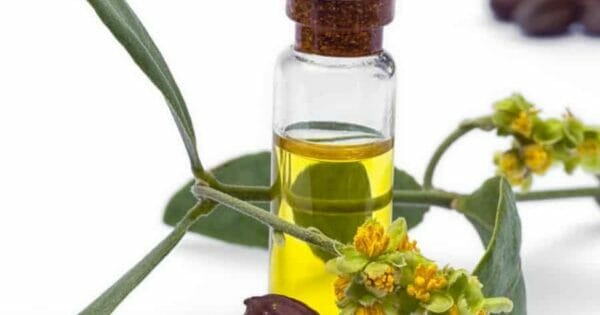 tinh dau jojoba.3 1