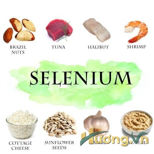 Selenium là chất nghe thì trông khá lạ nhưng nó lại là khoáng chất có khả năng chống oxy cao