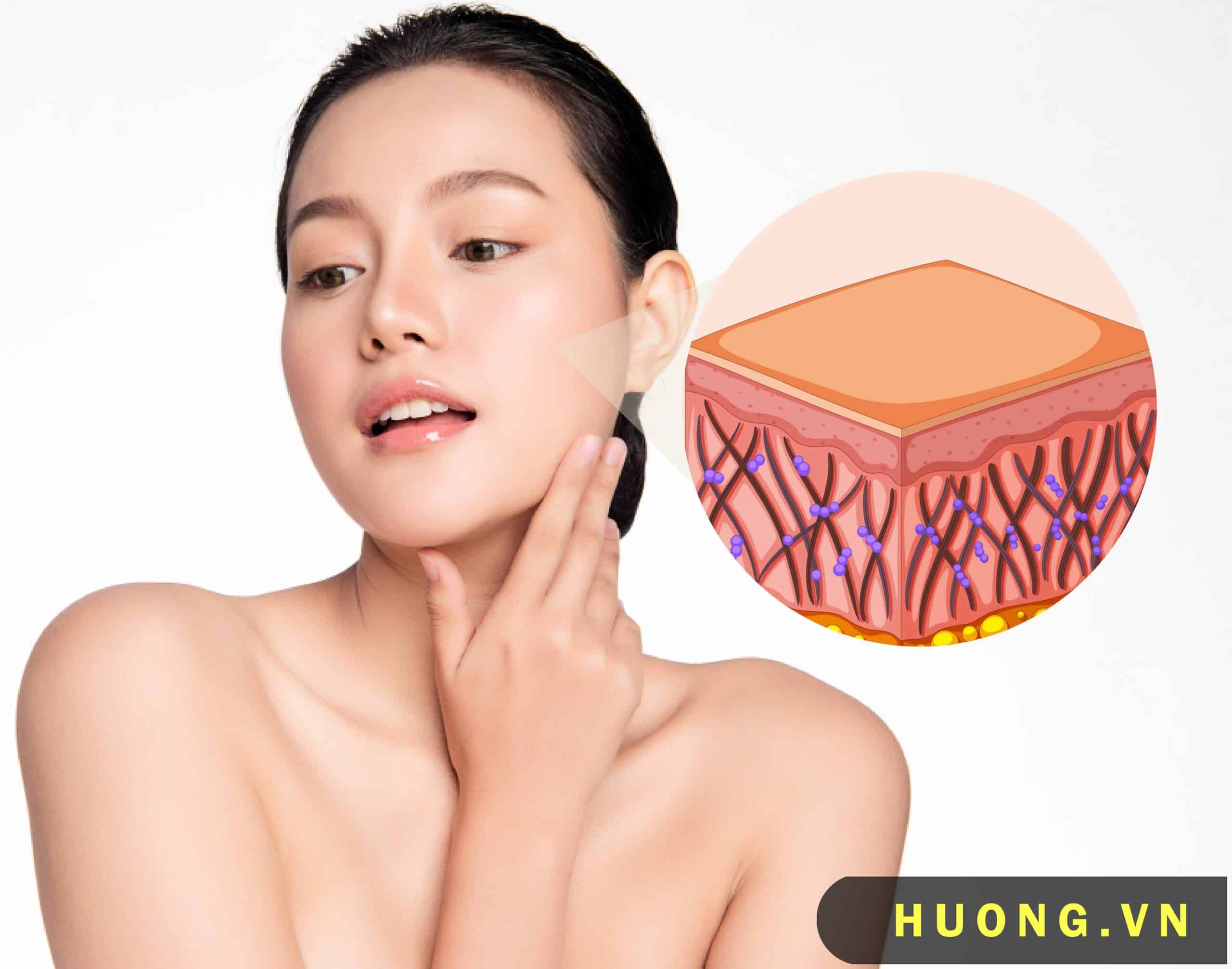 Collagen nằm sâu trong cấu trúc của da