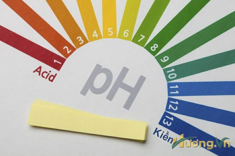 những sản phẩm có độ PH quá cao sẽ khiến lớp da bị bào mòn nhanh chóng
