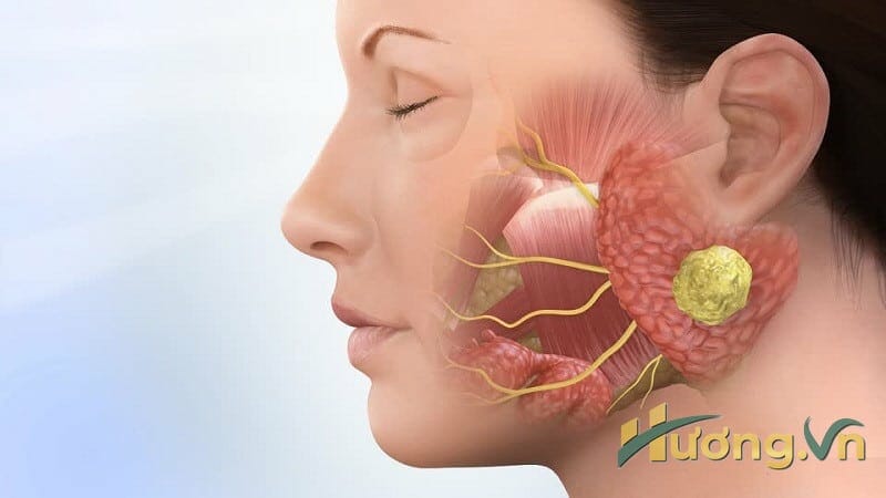 Tiết nước bọt