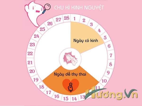 điều hoà kinh nguyệt ở phụ nữ