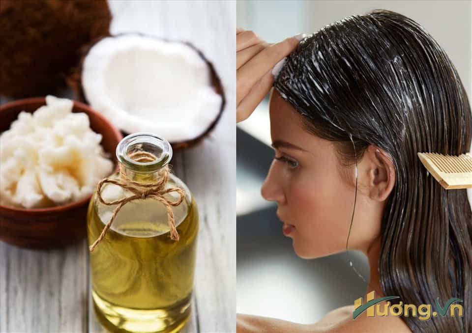 bí quyết dùng dầu dừa dưỡng tóc thành công 