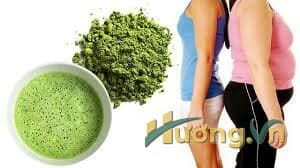 Bột trà xanh đốt cháy chất béo nhanh hơn