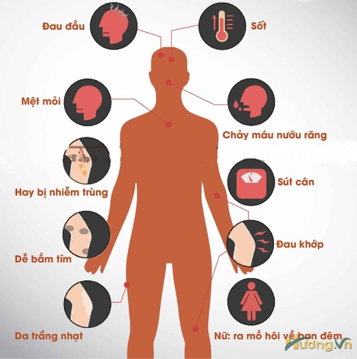 các dấu hiệu ung thư máu bạn nên biết