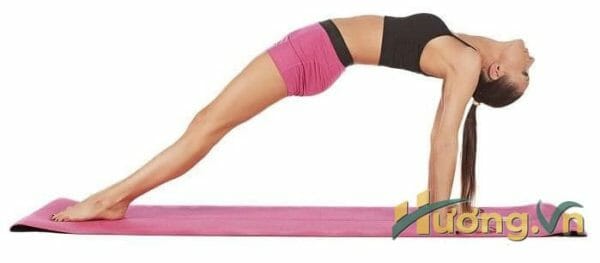 Bài tập yoga giảm cân tư thế chống đẩy ngược