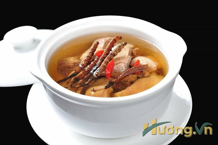 Cách nấu canh gà hầm đông trùng hạ thảo đơn giản 