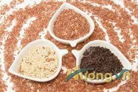 Các loại gạo lứt giảm cân tốt nhất