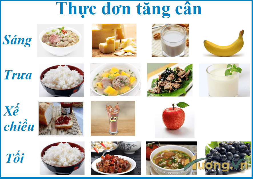 Kiểm soát bữa ăn trước và sau khi tập luyện