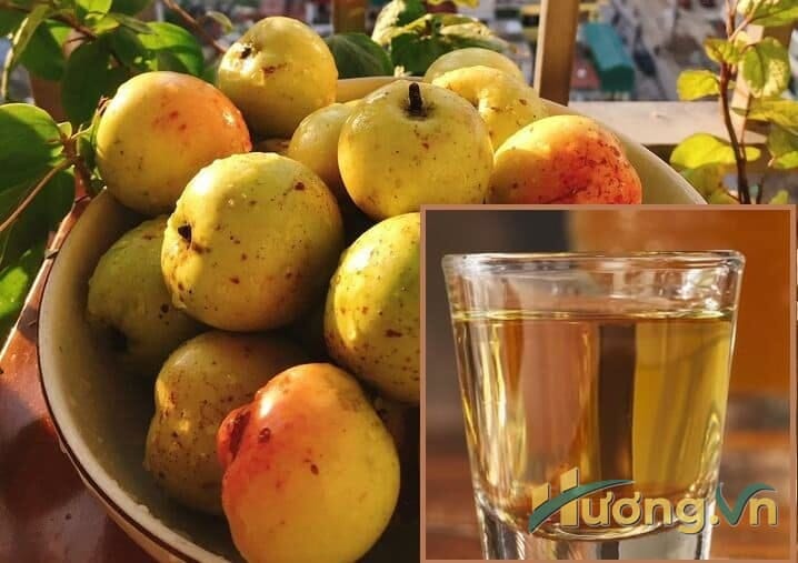 Cách ngâm rượu táo mèo tươi