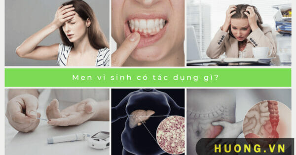 men vi sinh co tac dung gi 1
