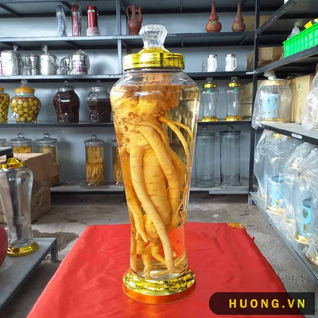 Rượu đinh lăng 