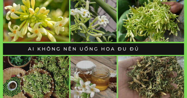 ai khong nen uong du du duc15