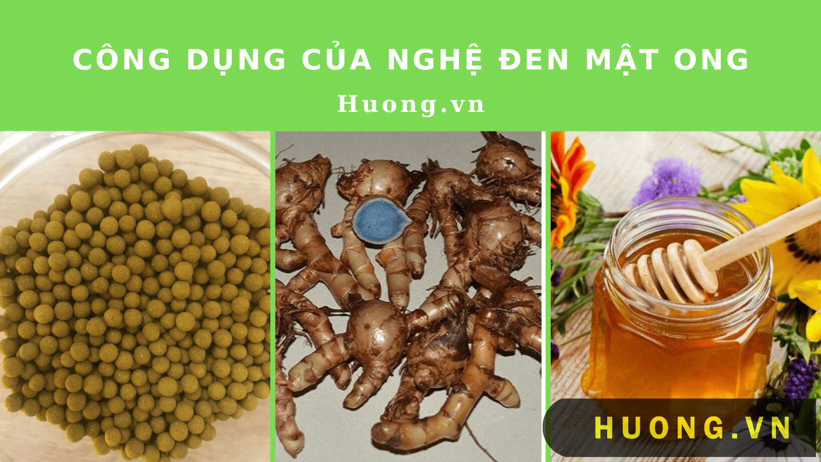 Công dụng của nghệ đen mật ong