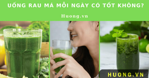 Uống rau má mỗi ngày có tốt không