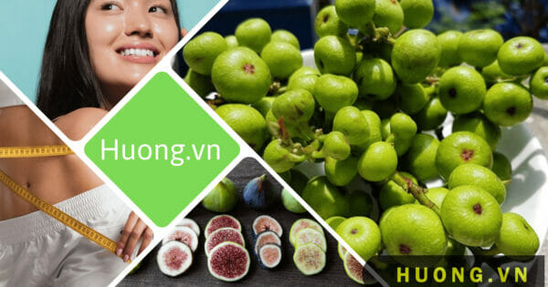 Tác dụng của quả sung